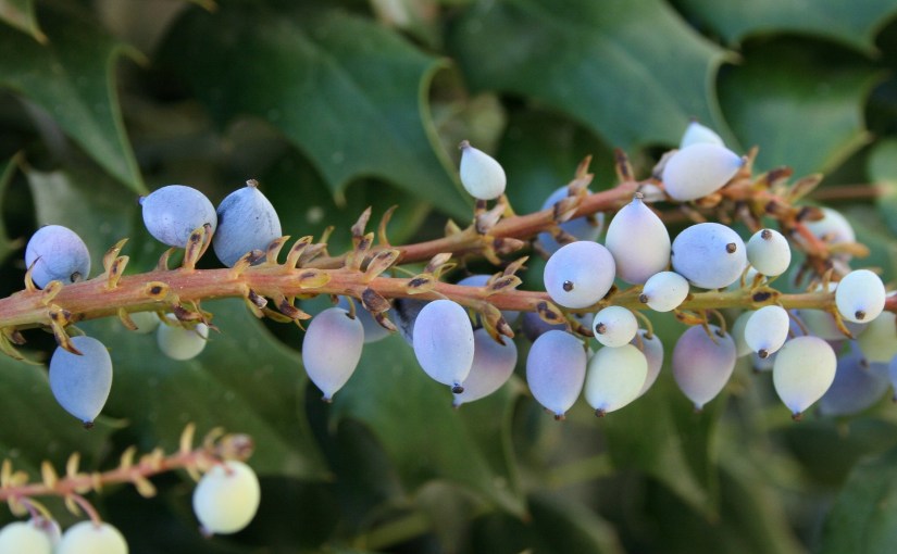 Into the Holy of&nbsp;Holies